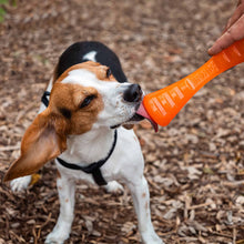 BIONIC Urban Stick Dog Toy - Small - 20cm