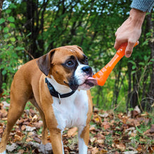 BIONIC Urban Stick Dog Toy - Large - 26cm