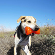 BIONIC Bone Dog Toy - Large - 15cm