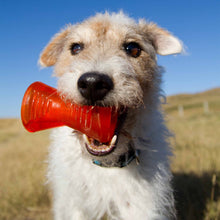 BIONIC Bone Dog Toy - Small - 9.5cm