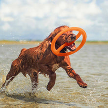 BIONIC Toss-N-Tug Ring - 22.7cm