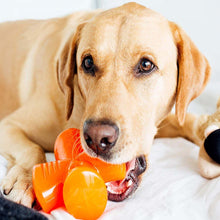 BIONIC Stuffer Dog Toy - 12.5cm