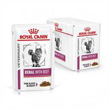 Royal Canin Veterinary Health Nutrition Renal Adult Wet Cat Food In Gravy - Beef - 48x85g Pouches