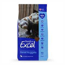 Burgess Excel Ferret Nuggets