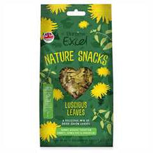 Burgess Excel Nature Snacks Lucicious Leaves - 60g