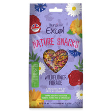 Burgess Excel Nature Snacks Wildflower Forage - 75g