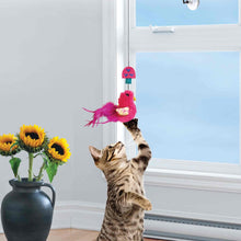 KONG Cat Window Teaser