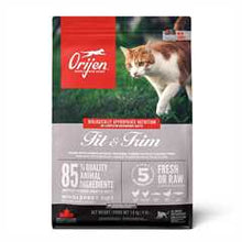 Orijen Fit & Trim Grain Free Dry Cat Food