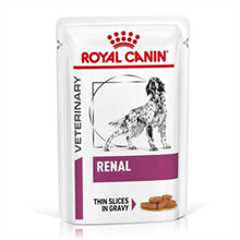 ROYAL CANIN Veterinary Renal Adult Wet Dog Food - 48x100g Pouches