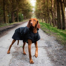 Danish Design Black Harness 2 in 1 Ultimate Dog Coat - 22in / 55cm