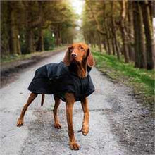 Danish Design Black Harness 2 in 1 Ultimate Dog Coat - 10in / 25cm