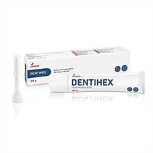 Dentihex Adhesive Dental Paste for Cats & Dogs - 20g