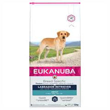Eukanuba Breed Specific Labrador Retriever Adult Dry Dog Food
