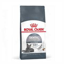 ROYAL CANIN Dental Care Adult Dry Cat Food