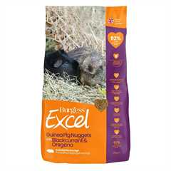 Burgess Excel Tasty Nuggets for Guinea Pigs - Blackcurrant & Oregano