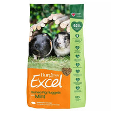 Burgess Excel Tasty Nuggets for Guinea Pigs - Mint