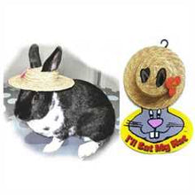 SnuggleSafe I Will Eat My Hat Rabbit Toy - 15cm Diameter