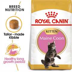 ROYAL CANIN Breed Health Nutrition Maine Coon Kitten Dry Cat Food