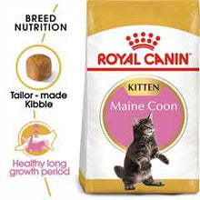 ROYAL CANIN Breed Health Nutrition Maine Coon Kitten Dry Cat Food