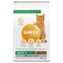 IAMS Adult Dry Cat Food - Tuna