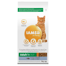 IAMS Adult Dry Cat Food - Tuna