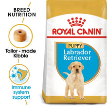 Royal Canin Breed Health Nutrition Labrador Retriever Puppy Dry Dog Food