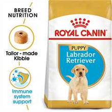 Royal Canin Breed Health Nutrition Labrador Retriever Puppy Dry Dog Food