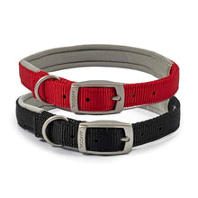 Ancol Viva Padded Dog Collar - 35-43cm - Black