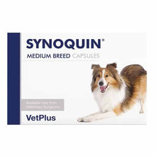 Synoquin Medium Breed - 120 Capsules