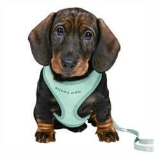 Trixie Soft Puppy Harness with Lead - Lilac