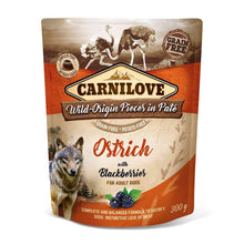 Carnilove Grain Free Adult Wet Dog Food - Ostrich with Blackberries - 12x300g Pouches