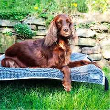 Henry Wag Microfibre Noodle Pet Mat - Large 80x65cm