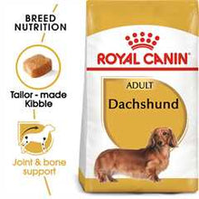 Royal Canin Breed Health Nutrition Dachshund Adult Dry Dog Food