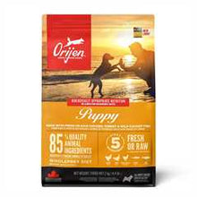 Orijen Puppy Grain Free Dry Dog Food