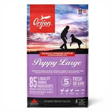 Orijen Puppy Large Breed Grain Free Dry Dog Food
