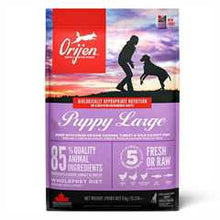 Orijen Puppy Large Breed Grain Free Dry Dog Food