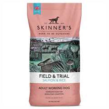 Skinners Field & Trial Adult Dry Dog Food - Salmon & Rice - 15kg