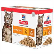 Hills Science Plan Adult Wet Cat Food - Poultry -  12x85g Pouches