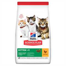 Hills Science Plan Kitten Dry Cat Food - Chicken