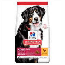 Hills Science Plan Large Breed Adult Dry Dog Food - Chicken
