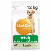 IAMS Large Breed Adult Dry Dog Food - Lamb