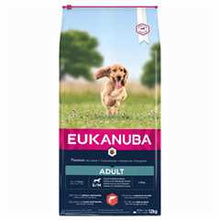 Eukanuba Small/Medium Breed Adult Dry Dog Food - Salmon & Barley