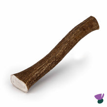Thistlers Antler Dog Chew - Giant