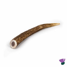 Thistlers Antler Dog Chew - Large