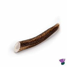 Thistlers Antler Dog Chew - Medium