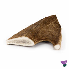 Thistlers Fallow Antler Dog Chew - Large