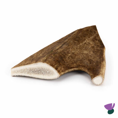 Thistlers Fallow Antler Dog Chew - Large