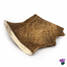 Thistlers Fallow Antler Dog Chew - Extra Large