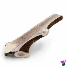 Thistlers Split Antler Dog Chew - Giant