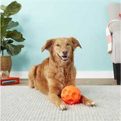 Tricky Treat Ball Dispensing Dog Toy - Large